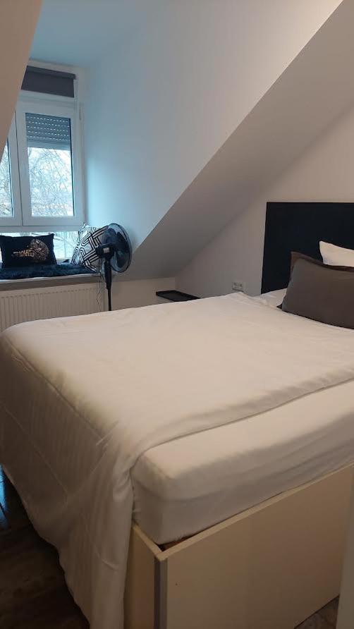 Apartments Am Wald 1 卡尔斯鲁厄 外观 照片